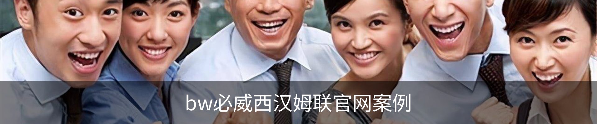 bw必威西汉姆联官网案例